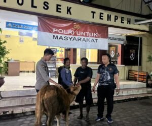 IMG 20250623 WA0044