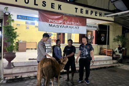 IMG 20250623 WA0044