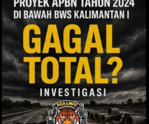 IMG 20250625 WA0290