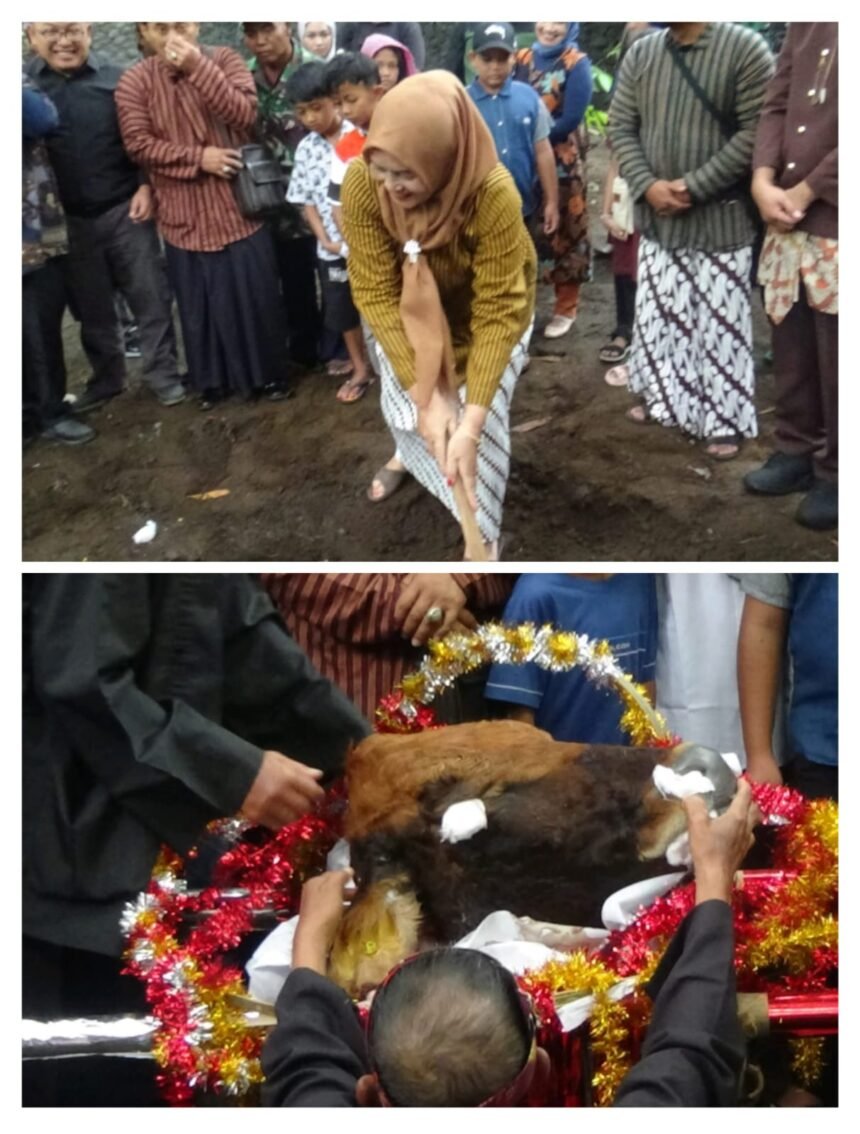 IMG 20250627 WA0090