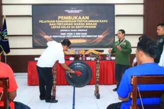 IMG 20250724 WA0135