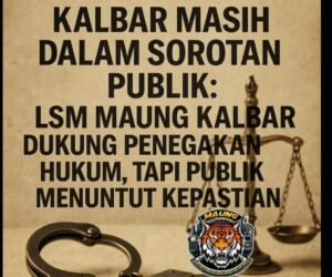 IMG 20250726 WA0374