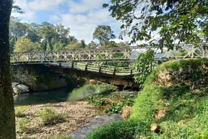 IMG 20250729 WA0068