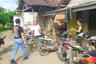 IMG 20250731 WA0123