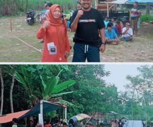 IMG 20250810 WA01412