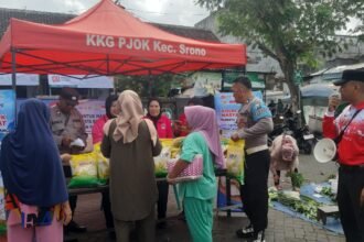 IMG 20250813 WA0154