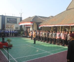 IMG 20250817 WA0024