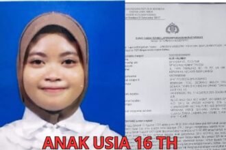 IMG 20250820 WA0229