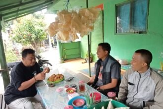 IMG 20250822 WA0065