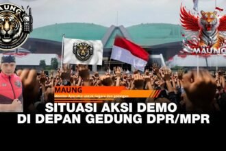 IMG 20250825 WA0139