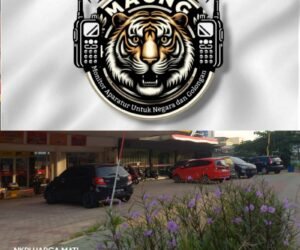 IMG 20250828 WA0129