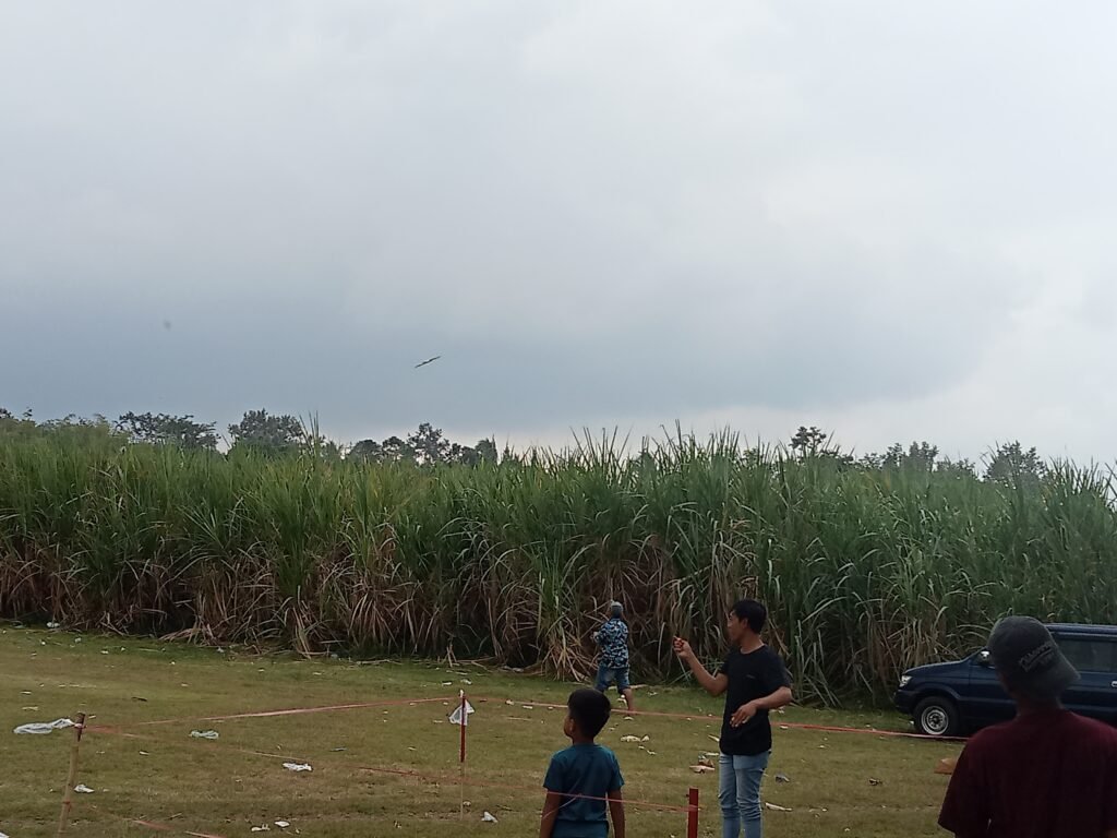 IMG20250810135531
