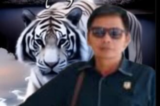 IMG 20250911 WA0158