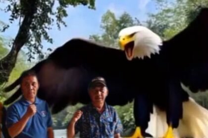 IMG 20250914 WA0056 2