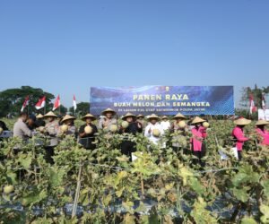 IMG 20250923 WA0107