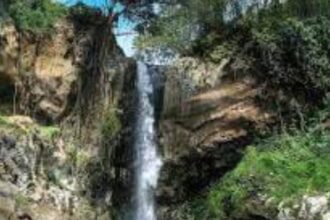 IMG 20250924 WA0245