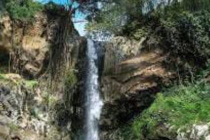 IMG 20250924 WA0245