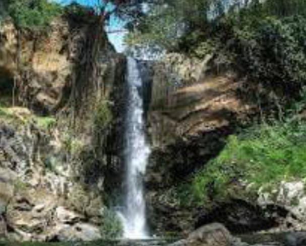 IMG 20250924 WA0245