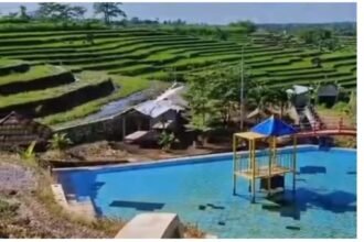 IMG 20251002 WA0106
