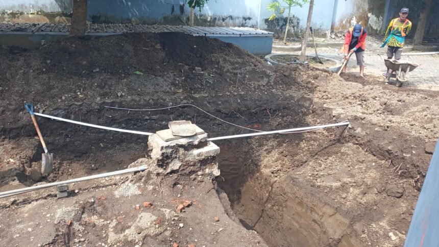 IMG 20251030 WA00801