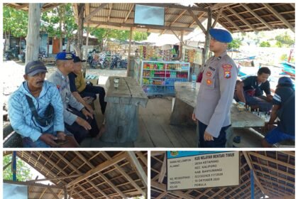 FotoGrid 20251107 131706161