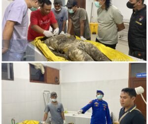 FotoGrid 20251109 200556491