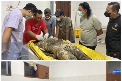 FotoGrid 20251109 200556491