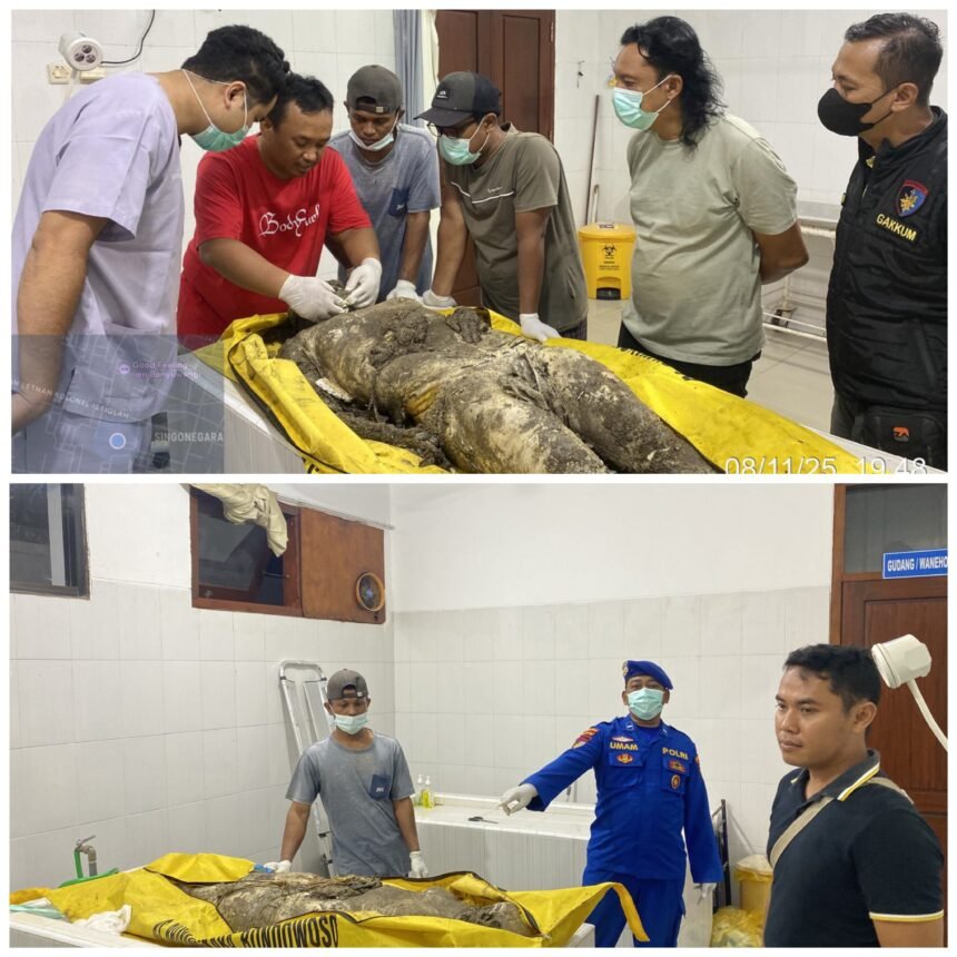 FotoGrid 20251109 200556491