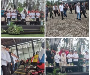 FotoGrid 20251116 165802873