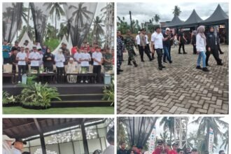 FotoGrid 20251116 165802873