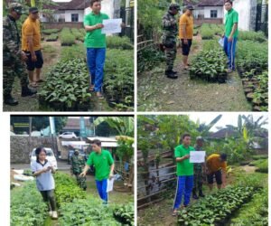 FotoGrid 20251116 170751881