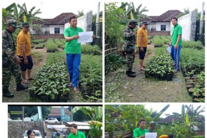 FotoGrid 20251116 170751881