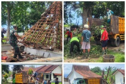 FotoGrid 20251120 125237506