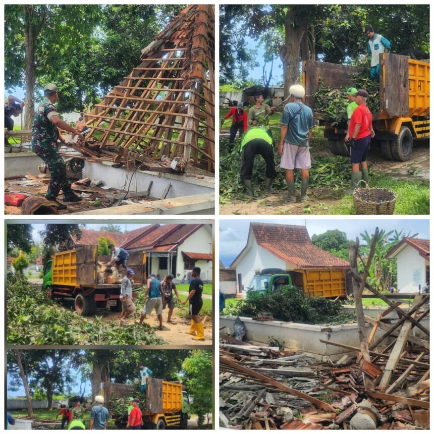 FotoGrid 20251120 125237506