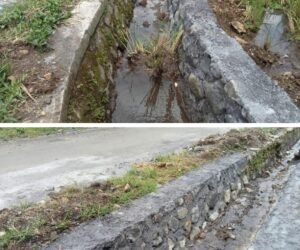 IMG 20251017 WA01001