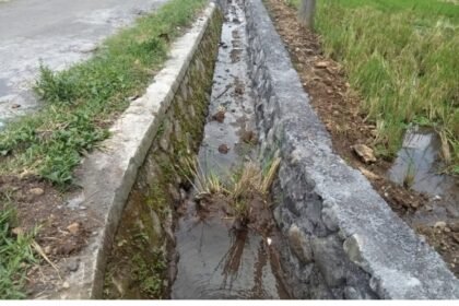 IMG 20251017 WA01001