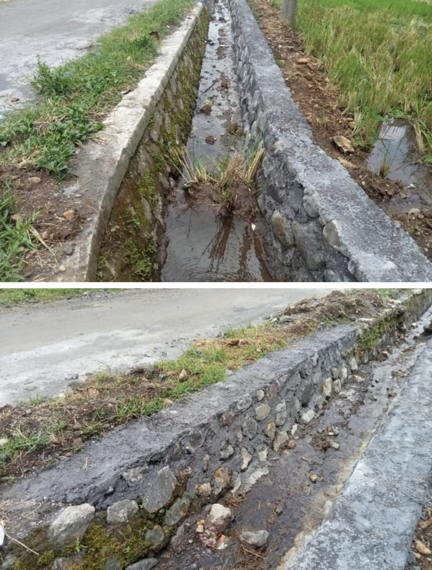 IMG 20251017 WA01001