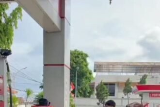IMG 20251101 WA0159