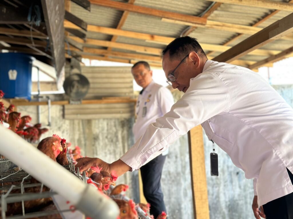 LAPAS KELAS IIB LUMAJANG HASILKAN 50 TELUR AYAM PER HARI DARI PROGRAM PEMBINAAN PETERNAKAN 2 IMG 20251106 WA0066