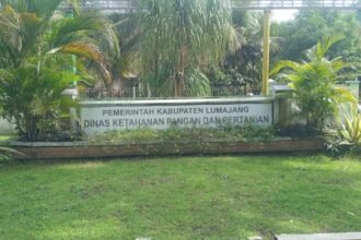IMG 20251106 WA0156