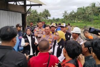 IMG 20251107 WA0035