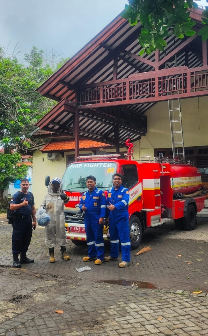 IMG 20251117 WA0253 1