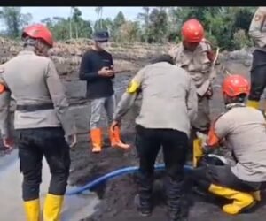 IMG 20251125 WA0042 1