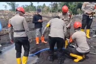 IMG 20251125 WA0042 1