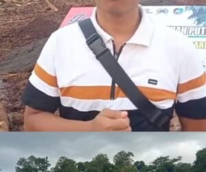 IMG 20251127 WA0278 1