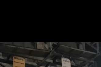 Screenshot 2025 11 21 10 25 52 03 6012fa4d4ddec268fc5c7112cbb265e7