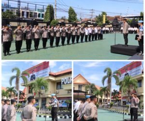 FotoGrid 20251201 154300450