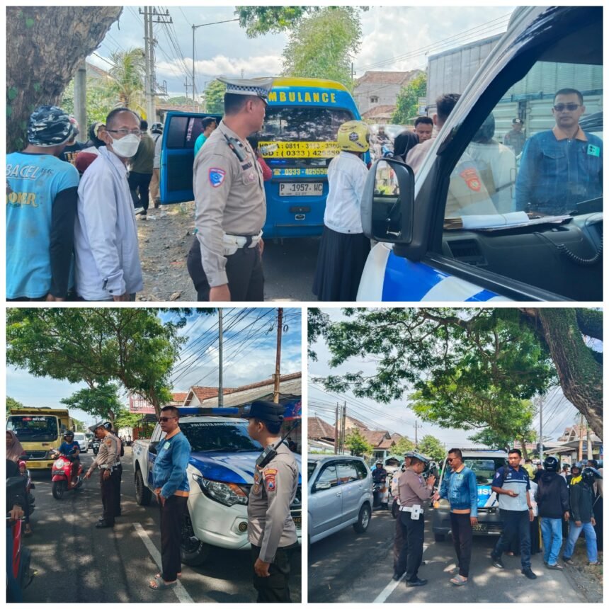 FotoGrid 20251203 153931765