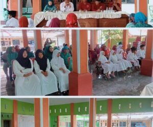 IMG 20251207 WA00211