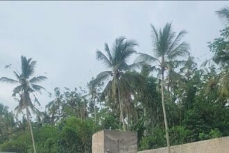 IMG 20251229 WA0255